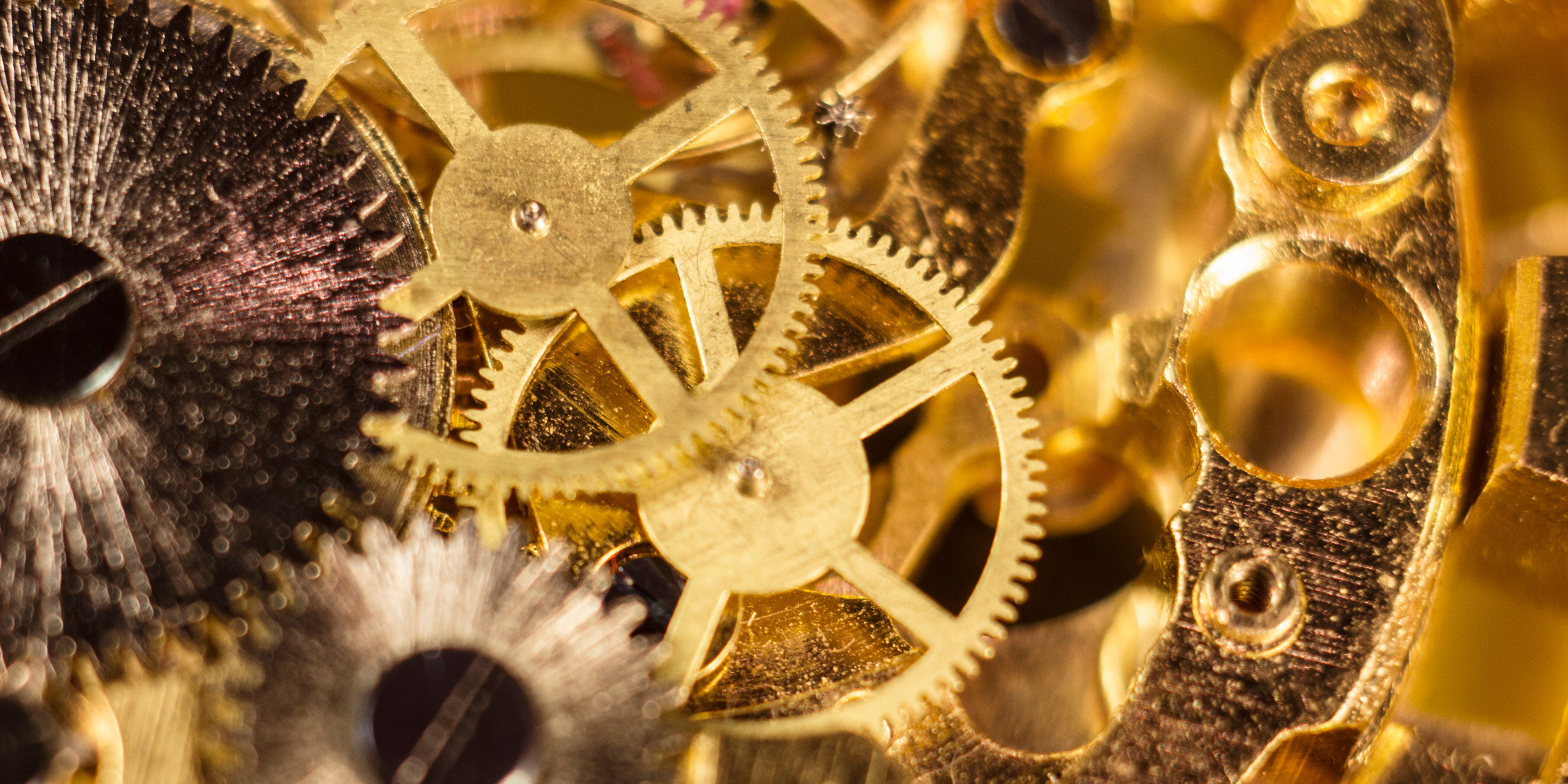 Daniel Wellington Iconic Link Noire