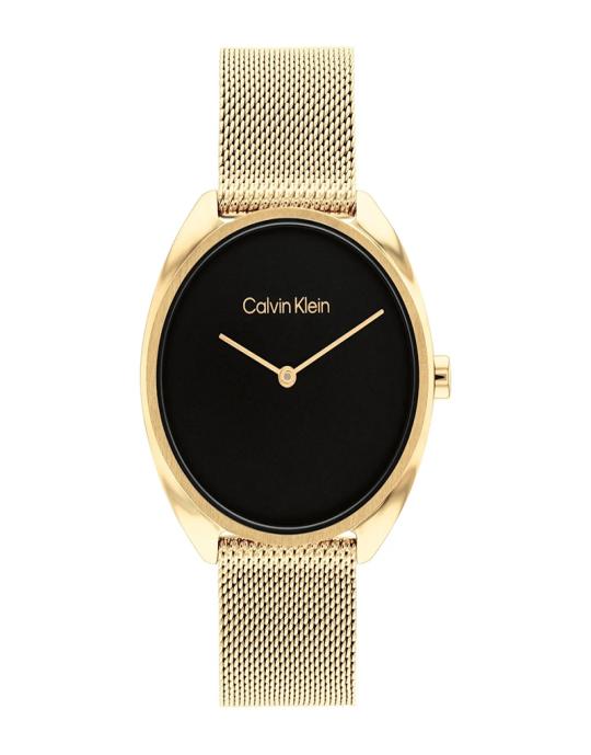 Calvin Klein Women's Watch 25200271